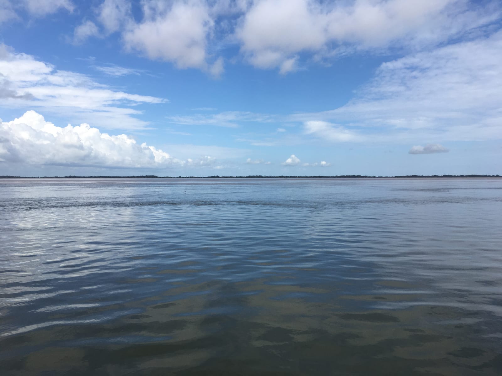 fleuve