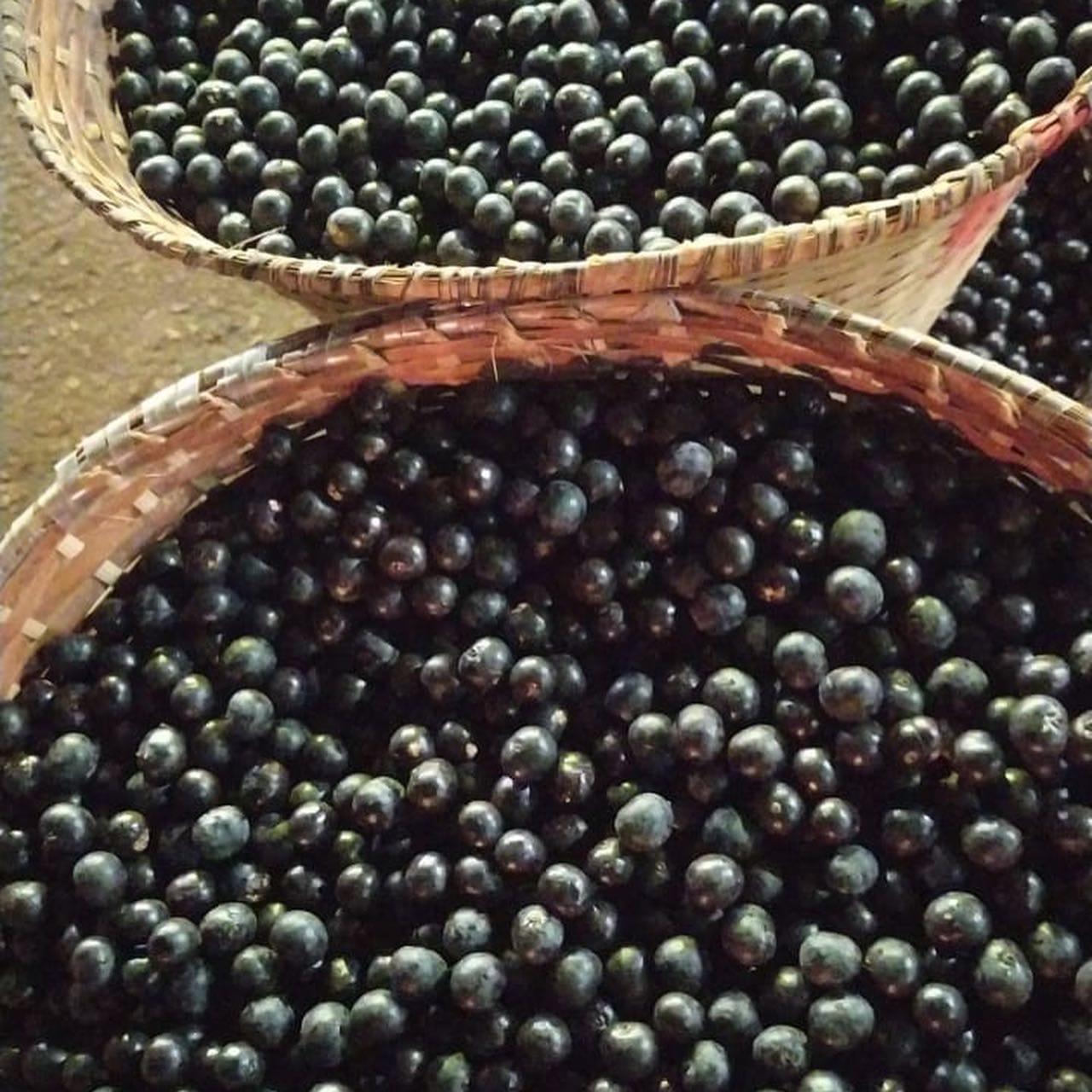 açaï
