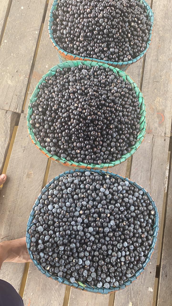 panier d’açaï