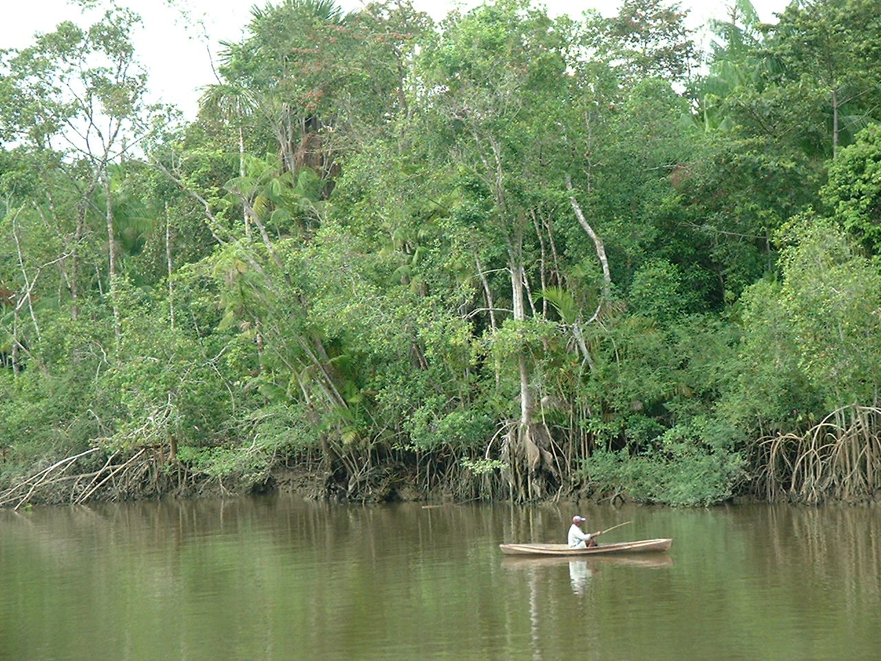 vie du fleuve
